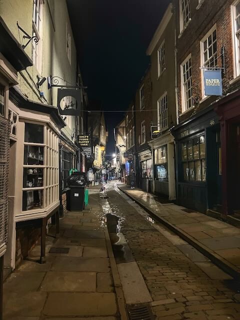 A narrow cobbled street of old shopfronts at night